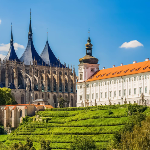 Dịch Vụ Visa Séc