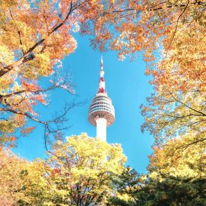 Dịch Vụ Visa Hàn Quốc